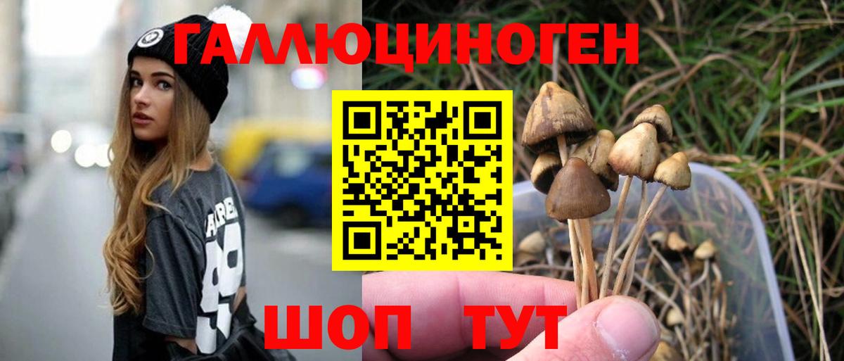 Галлюциногенные грибы Magic Shrooms Чайковский